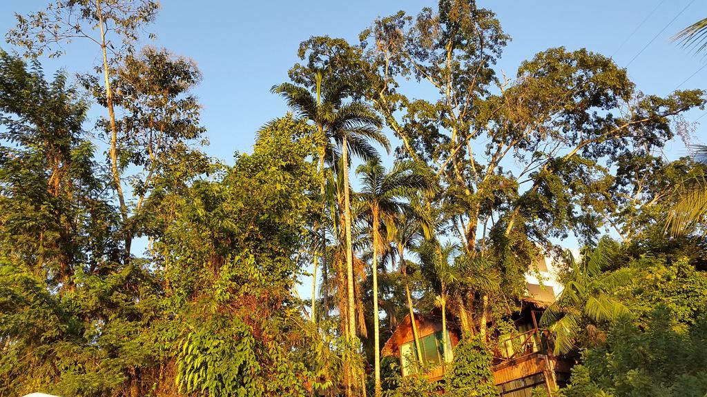 Wasai Puerto Maldonado Eco Lodge Eksteriør bilde